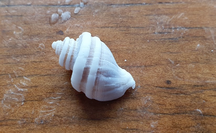 Prière pour la Fin des&nbsp;Temps