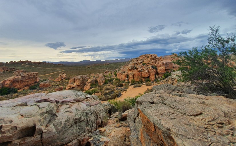 The Pulse of the&nbsp;Earth