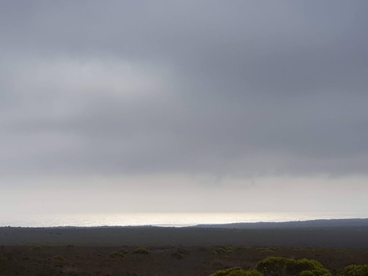 D&rsquo;humeur vagamonde